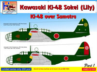 Kawasaki Ki-48-II - Over Sumatra (Part 1)