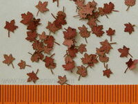 Maple - Dry Leaves - Image 1