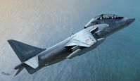 TAV-8B Harrier II - Image 1